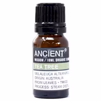 Tea Tree Organic, Eterisk Olja 10ml, Ancient Wisdom