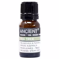 Tea Tree Organic, Eterisk Olja 10ml, Ancient Wisdom