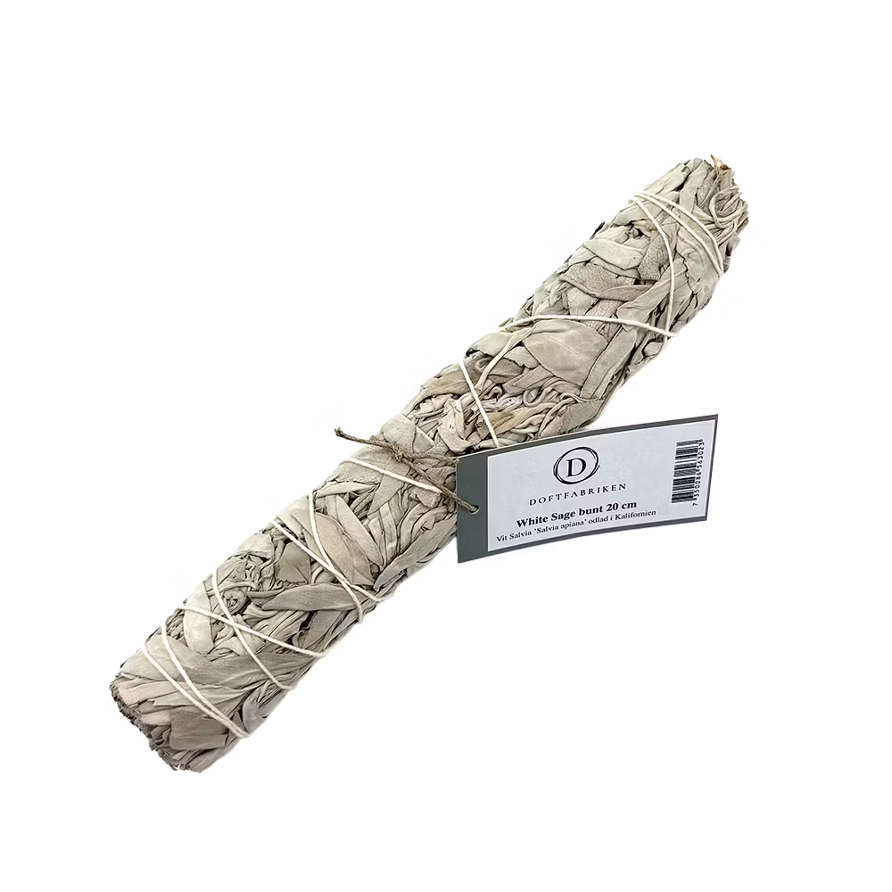 White Sage, Vit Salvia, Smudge 20cm