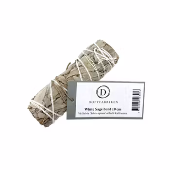 White Sage, Vit Salvia, Smudge 10cm