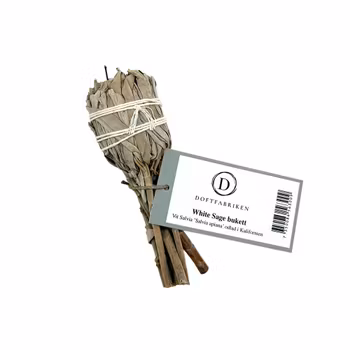 White Sage, Vit Salvia bukett Smudge