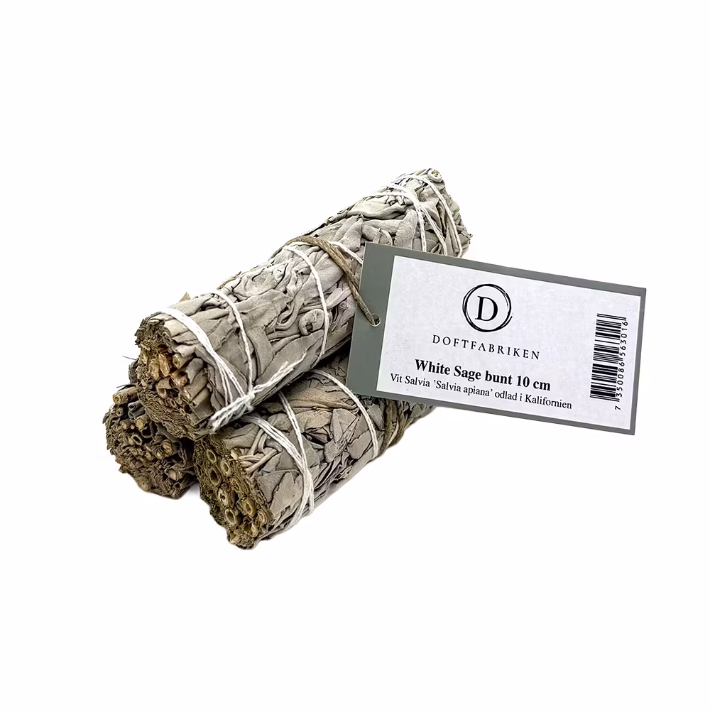 White Sage, Vit Salvia, Smudge 3-pack 10cm