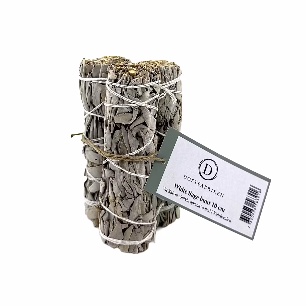 White Sage, Vit Salvia, Smudge 3-pack 10cm