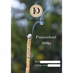 Presentkort 300kr