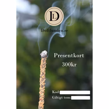 Presentkort 300kr