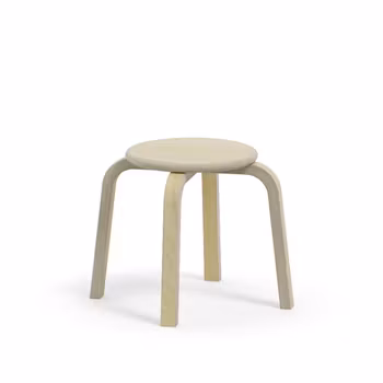 Top jakkara koivu, korkeus 30 cm