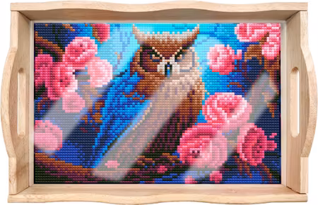Diamond Painting Serveringsbricka - Uggla