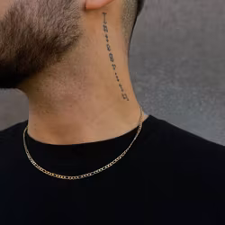 Hawk | Stålhalsband | 3-7 mm | Guld