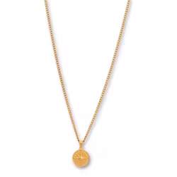 Harvey | Stålhalsband | Kompass