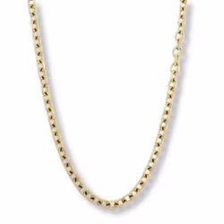 Hancock | Stålhalsband | 6 mm | Guld