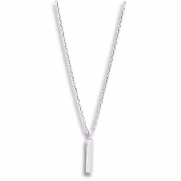 Silverhalsband | Graverbart hänge
