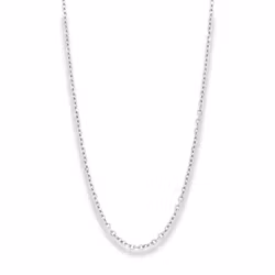 Hector | Stålhalsband