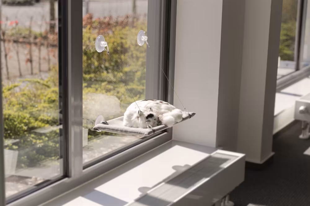 En kattsäng monterad på ett fönster. Här ligger en vit katt och sover.