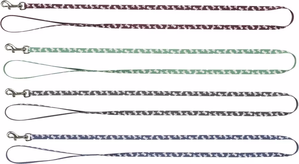 Kattselar med dödskallemotiv i olika färger.