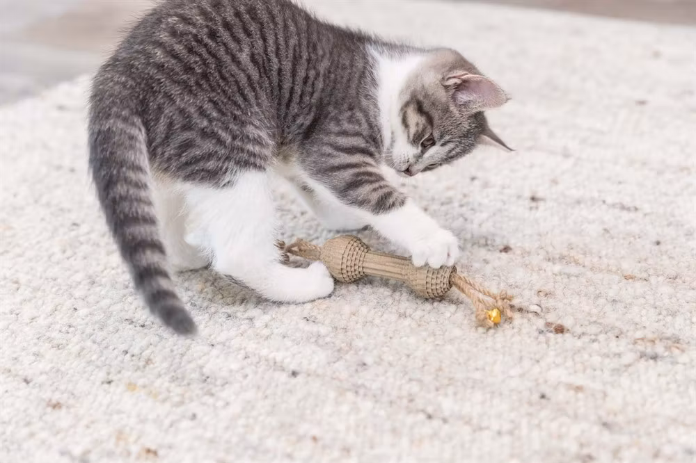 En katt som leker med en kattleksak i wellpapp/hampa.