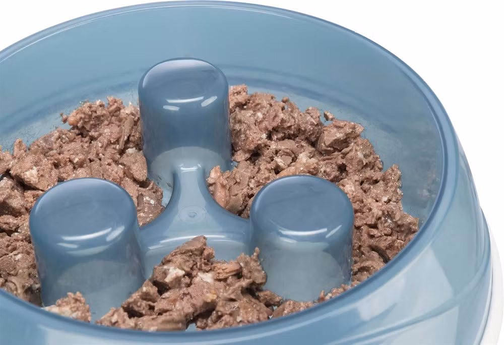 Våtfoder i en ljusblå slow-feeder.