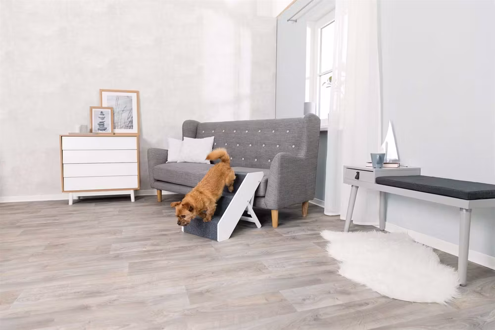 En brun liten söt hund som går nedför en vit och grå hundtrappa.