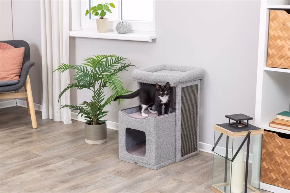 Klöspelaren Carlita i en hemmiljö.