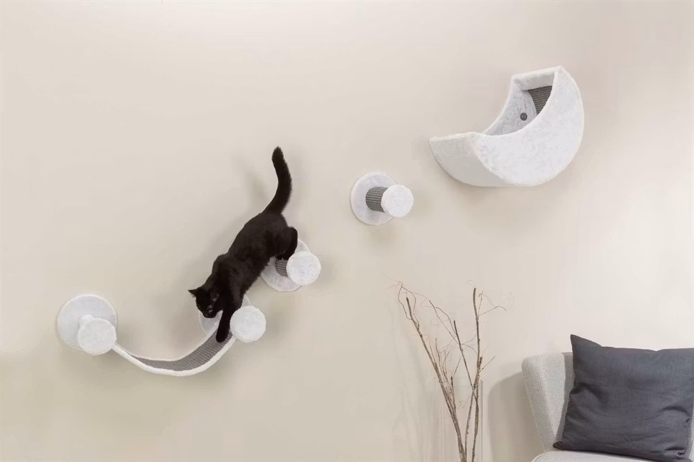 En katt som klättrar mellan olika delar av ett väggmonterad klätterset.