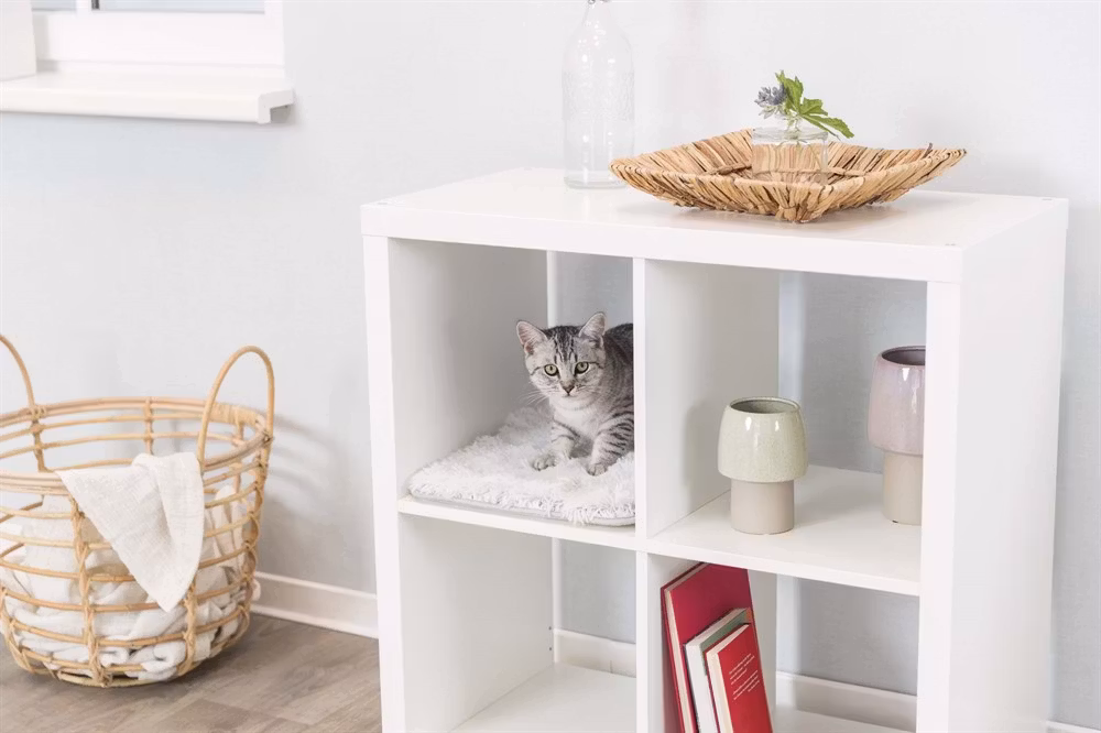 En vit lurvig dyna som ligger i en hylla. Här sitter en katt och myser.