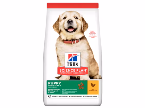 Framsidan av förpackningen för Hills Science Plan Puppy Large Breed Chicken.