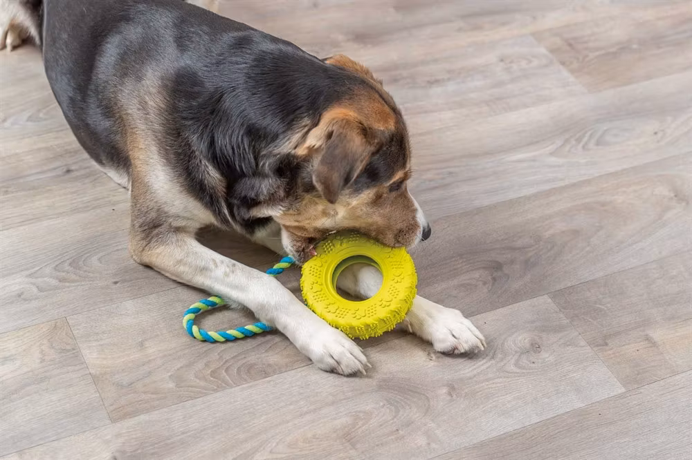 Hundleksak gummidäck på rep - 15/32 cm