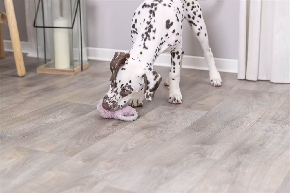 Junior kanin (ring) - 14 cm