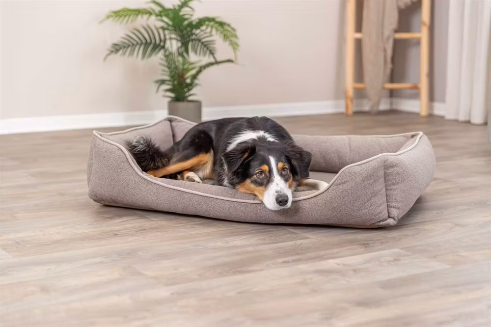 Ortopedisk hundbädd laurin - 4 storlekar