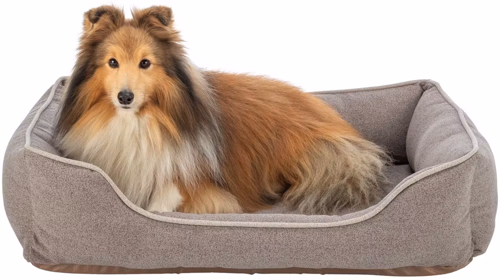 Ortopedisk hundbädd laurin - 4 storlekar