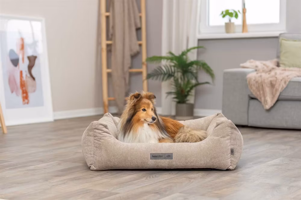 Hundbädd Matteo Beige - Två storlekar