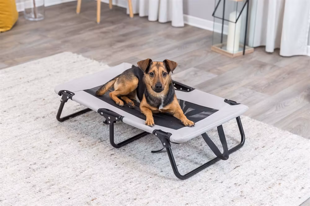 Campingsäng hund - tre storlekar