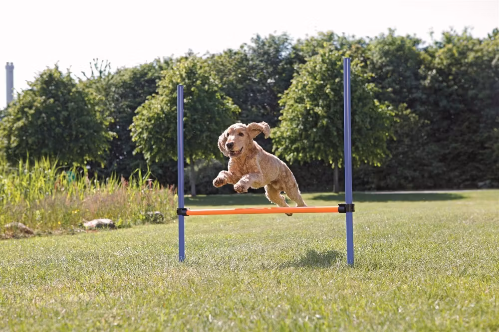 Agility Hopphinder Plast - 123 x 115 cm