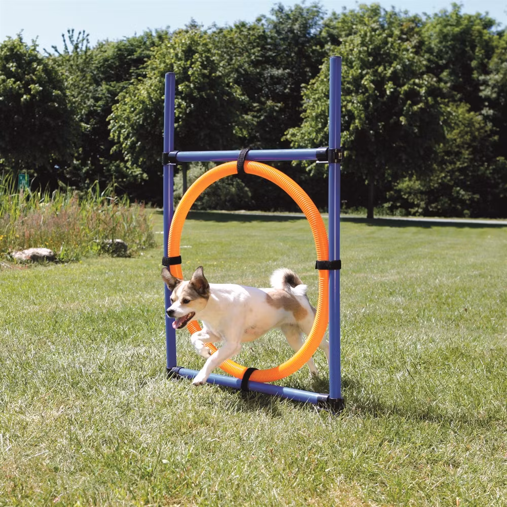 Agility Hoppring Plast - 78 x 65 x 115 cm