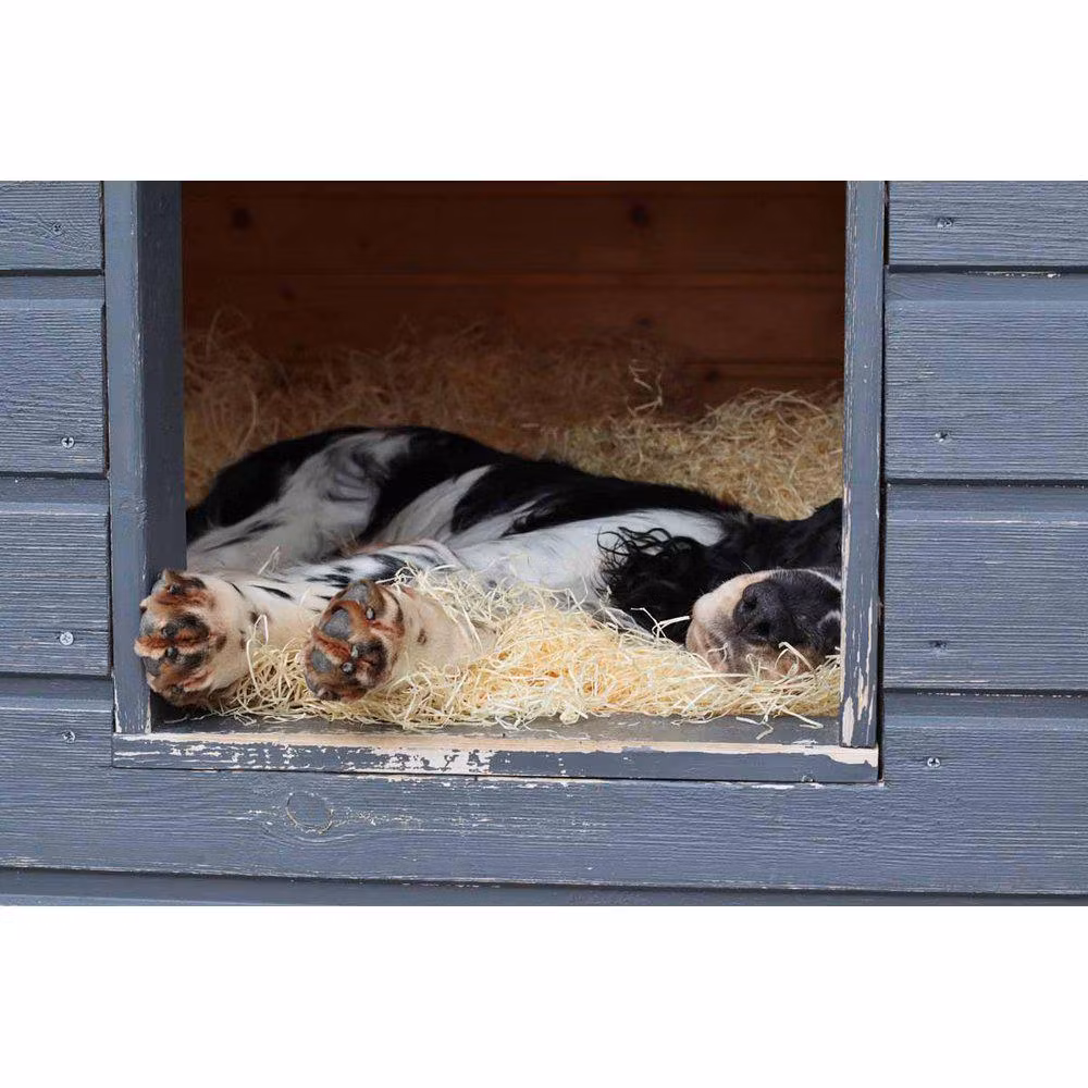 Ruti-rex Träull - 10kg