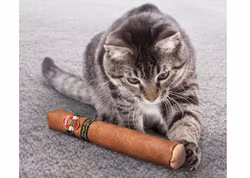 Kong Better Buzz Cigar