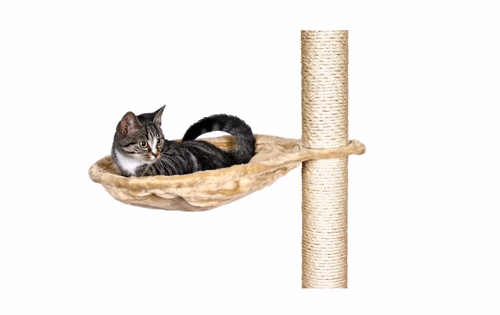 En katt som ligger och myser i en hammock i sitt klösträd.