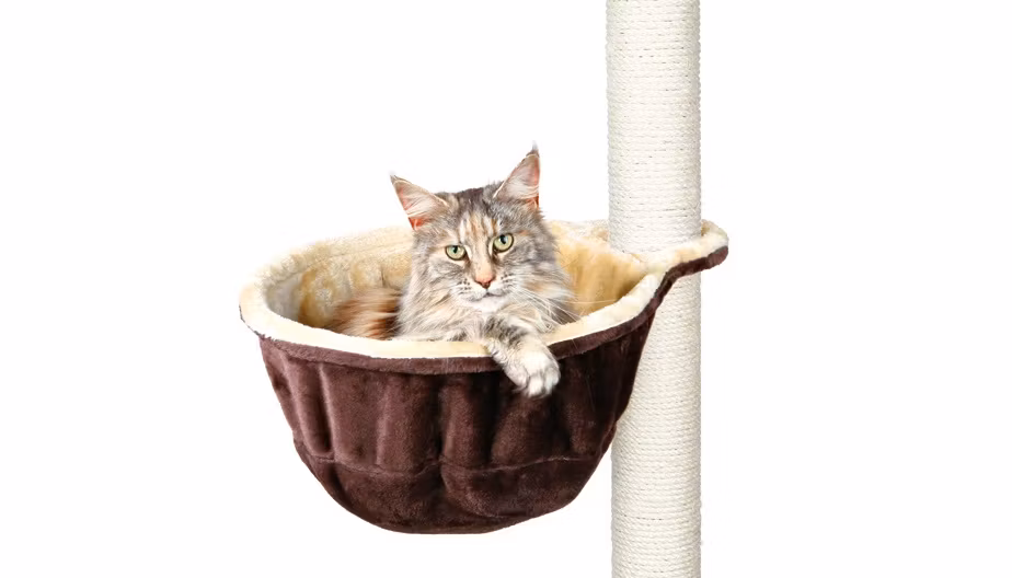 En katt som ligger och myser i sin hammock som är monterad på ett klösträd.