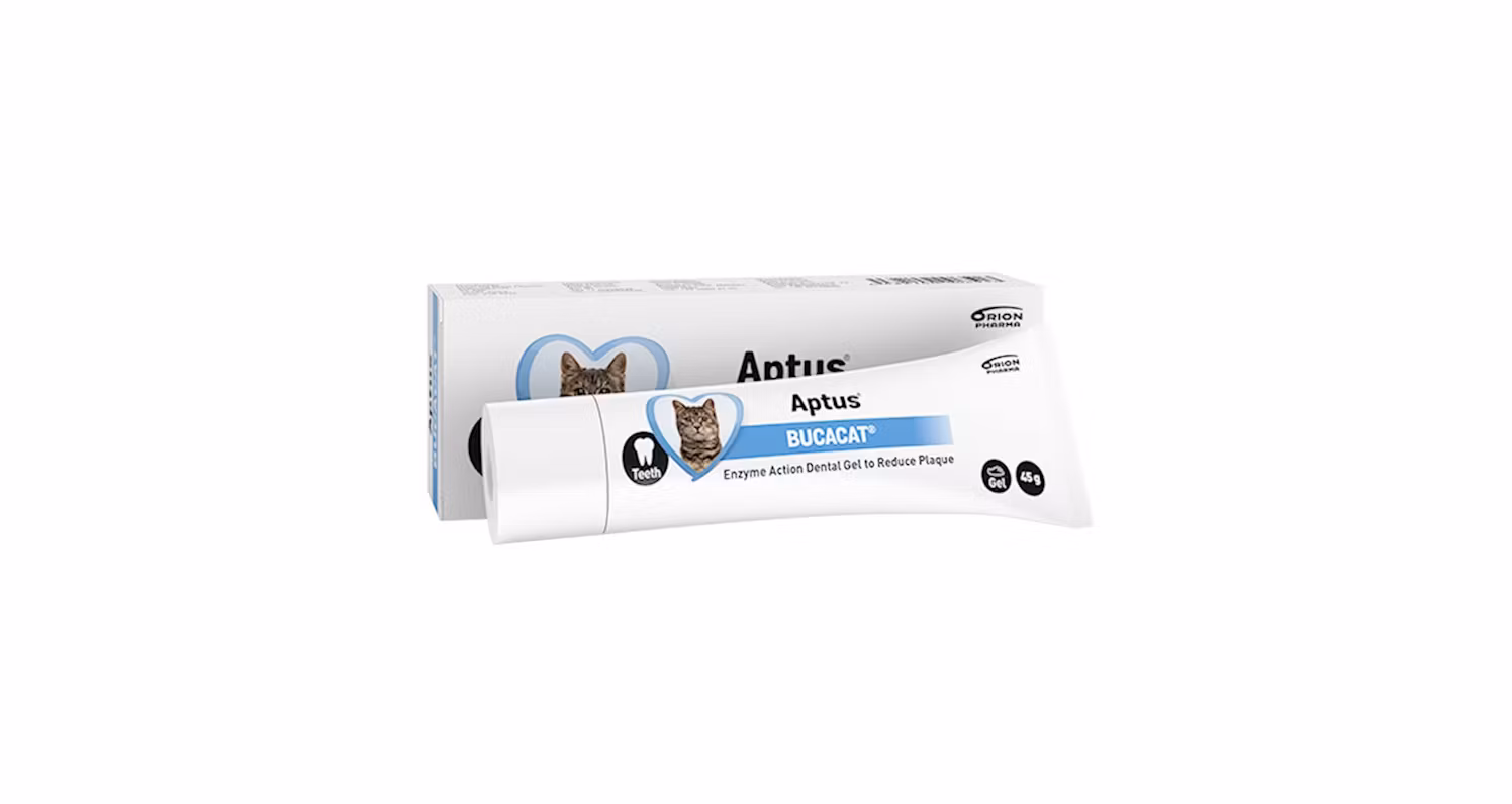 Framsidan av Aptus Bucacat Tandpasta.