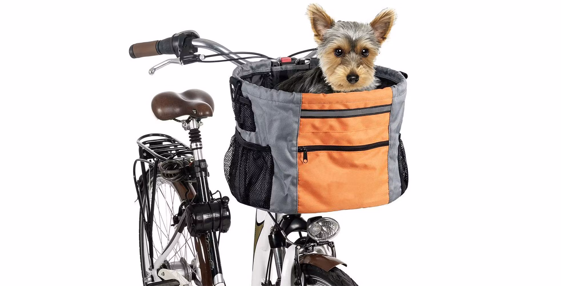 En cykelkorg på en cykel, med en liten hund på insidan.