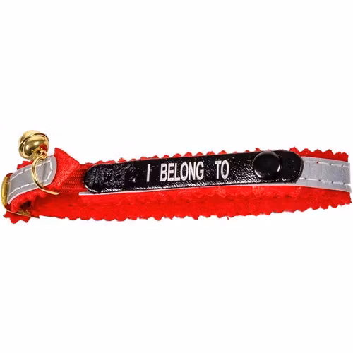 Ett rött katthalsband med texten "I belong to".