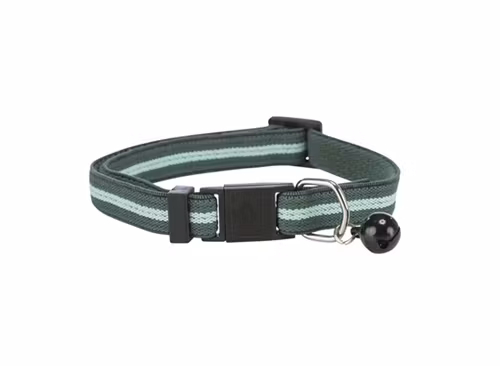Ett grönt katthalsband med en ljus stripe i mitten.