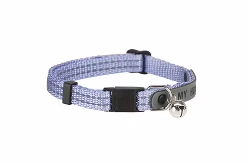 Ett blått katthalsband med reflex.