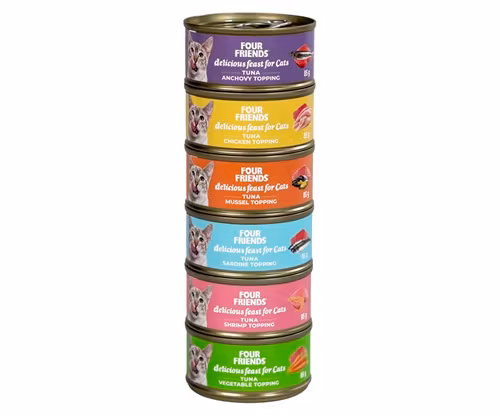 Framsidan av 6-packet med burkar från FourFriends.