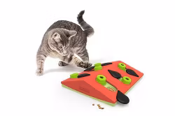 Petstages Cat Puzzle & Play Melon Madness