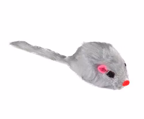 En grå pälsmus med kattmynta.