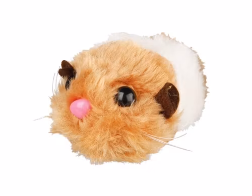 En orange och vit vibrerande hamster.