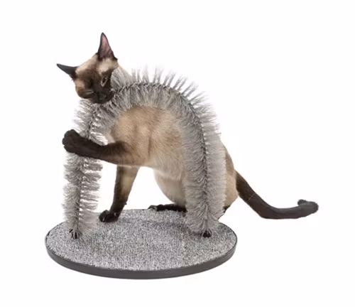 En katt som gosar med en massage- och pälsbåge.