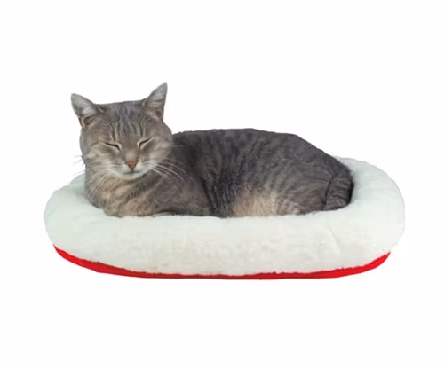 En liten röd och vitt kattbädd. Här ligger en liten katt och myser.