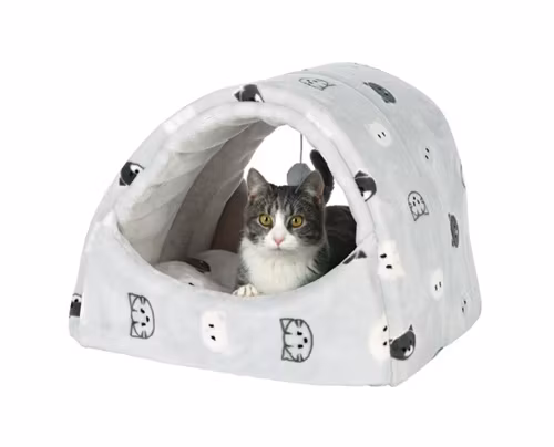 Den gråa kattigloon Mimi. En katt ligger och myser på insidan.