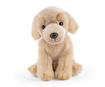 Labradorvalp med ljudeffekt!